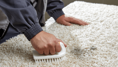 Professional Rug Cleaning Pheasant Creek