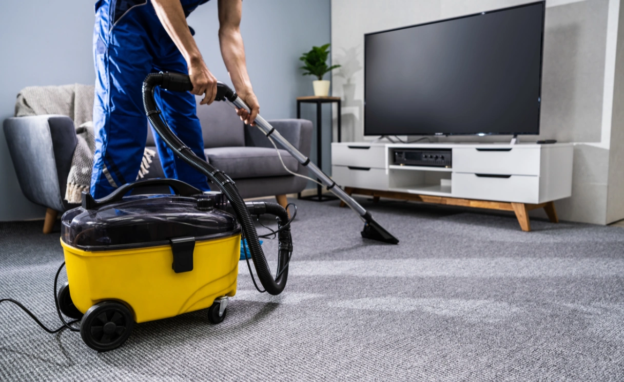 Extract Rug Cleaning Pheasant Creek Contact Office